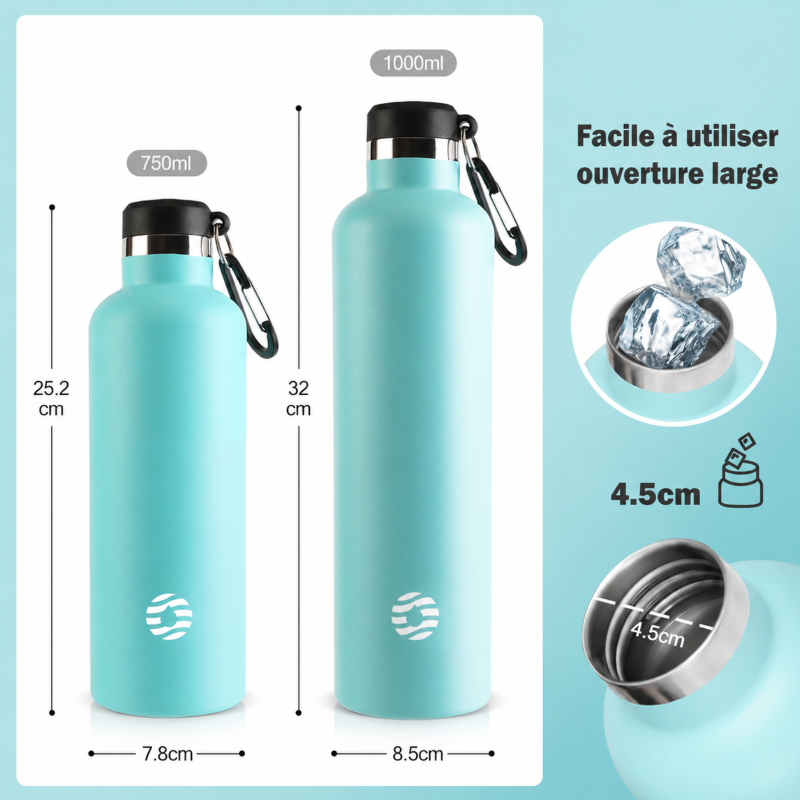 stainless steel insulated bottle two sizes side by side - Silver - Black - Green - Pink - Navy Blue - Turquoise