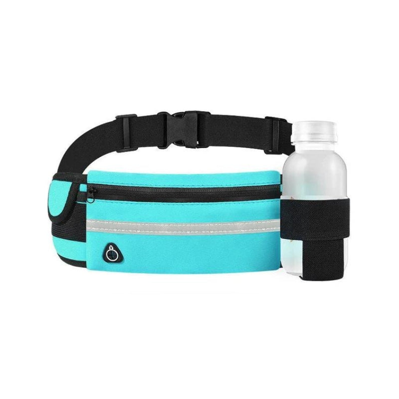 travel belt for documents - Blue